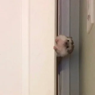 😳