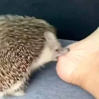 😠