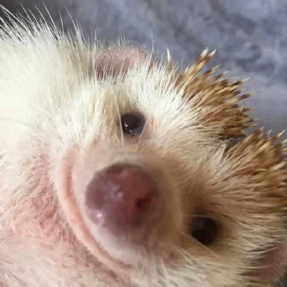 🙂
