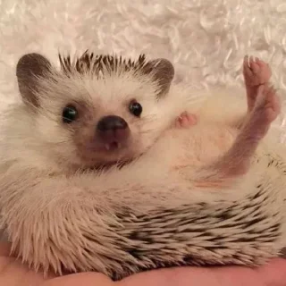 🙃