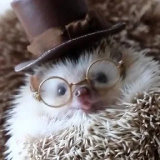 🤓