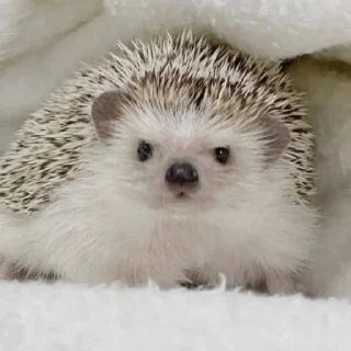 😐