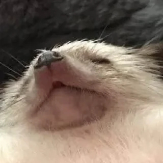 😮‍💨