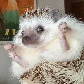 🤗