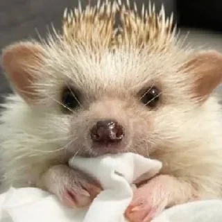 😌