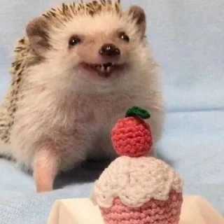 🤩