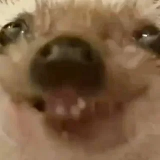 😁