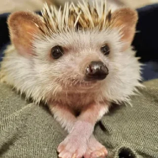 😌