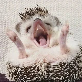 😱