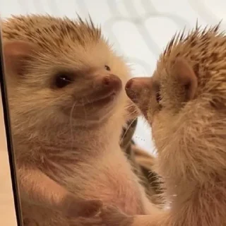 🙂