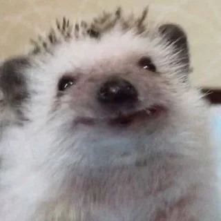 ☺️
