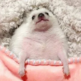 😌