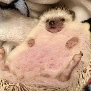 🤤
