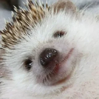 🙂