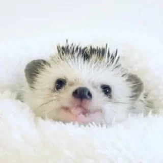 😛