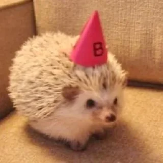 🥳