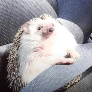 😊