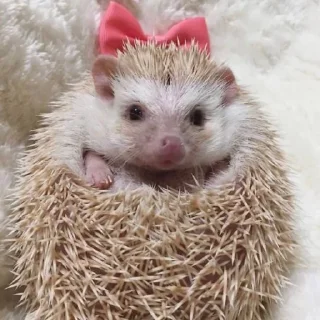 😊