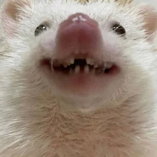 😁