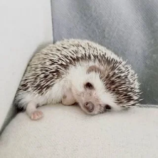 😞