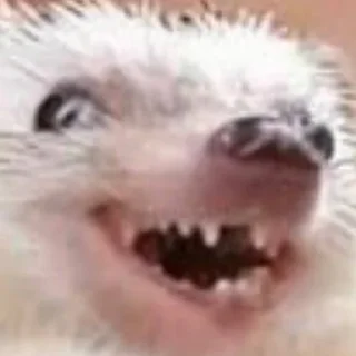 😬