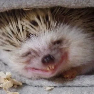 😁