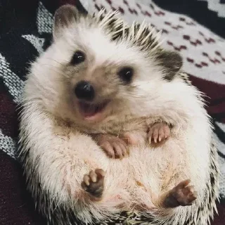 😀