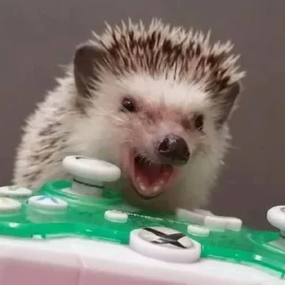 😠