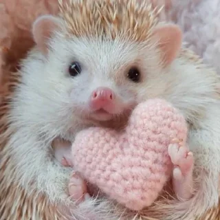 😍