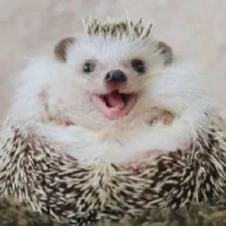 😃