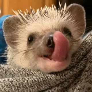 😛