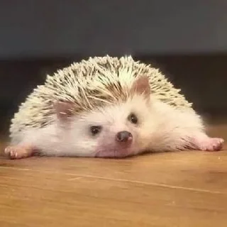 😮‍💨