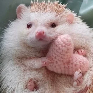 🥰