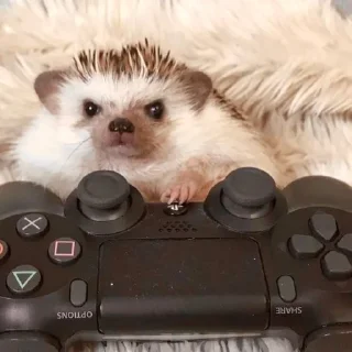 🎮