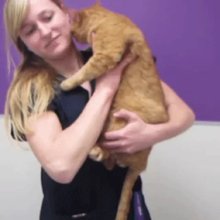 😽