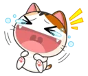🐱
