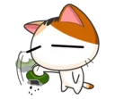 😿