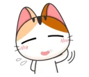 😺