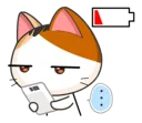 🐱