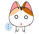🐱
