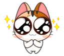 🐱