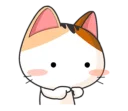 🐱