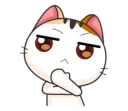 🐱