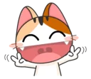 🐱