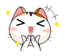 🐱