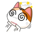 🐱