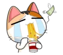 🐱