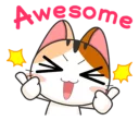 😸