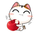 😺