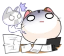 😾